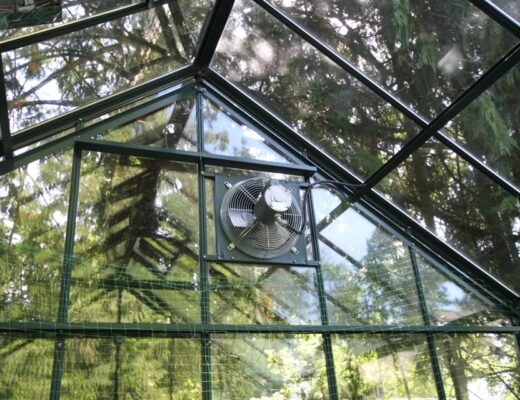 Exhaust Fan In Your Greenhouse