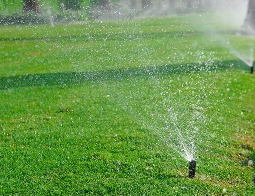 Sprinkler System Essentials For A Healthy Lawn